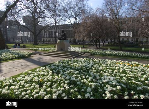flowers tavistock.